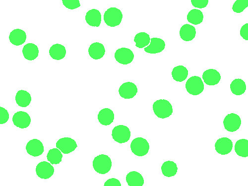 Sample annotation mask from BBBC041Seg