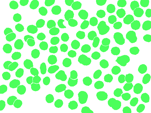 Sample annotation mask from BBBC041Seg