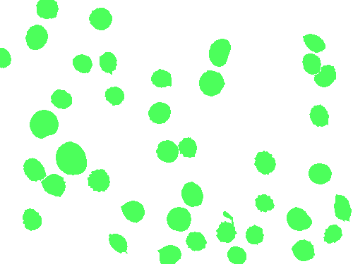 Sample annotation mask from BBBC041Seg