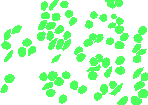 Sample annotation mask from BBBC041Seg