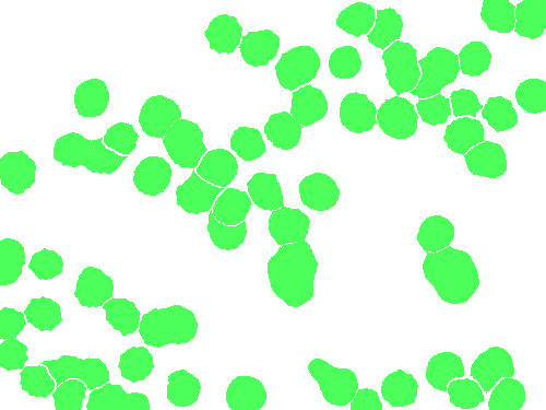 Sample annotation mask from BBBC041Seg