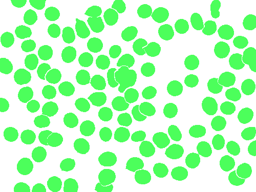 Sample annotation mask from BBBC041Seg