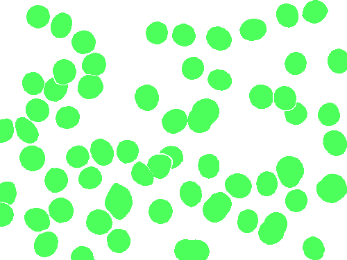 Sample annotation mask from BBBC041Seg