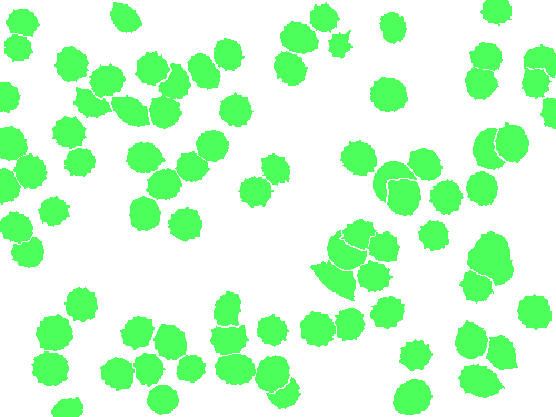 Sample annotation mask from BBBC041Seg