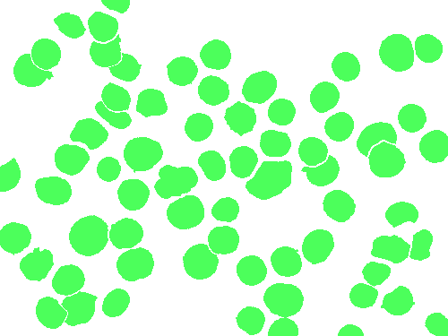 Sample annotation mask from BBBC041Seg