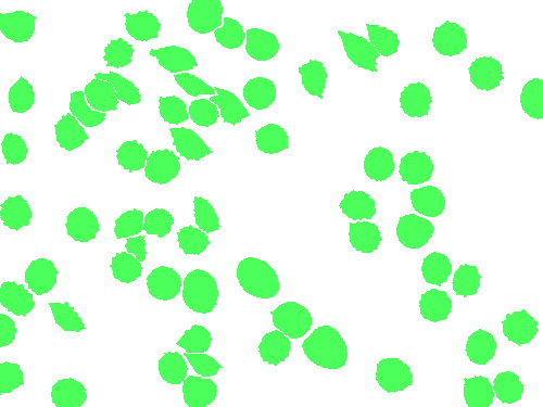 Sample annotation mask from BBBC041Seg