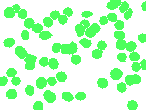 Sample annotation mask from BBBC041Seg