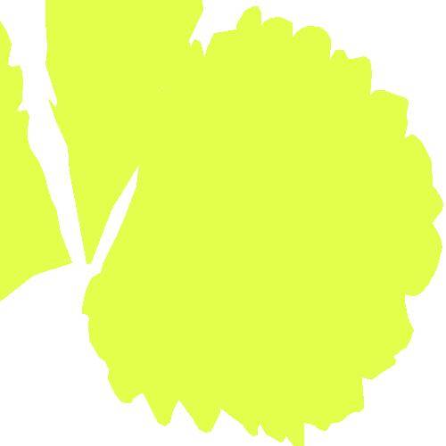 Sample annotation mask from Strawberry Disease Detection