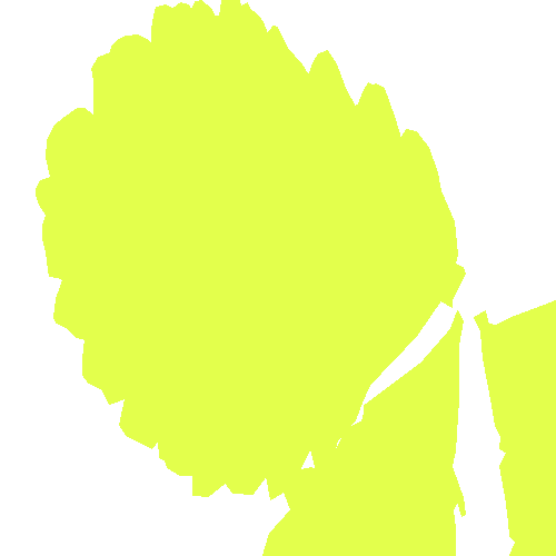 Sample annotation mask from Strawberry Disease Detection