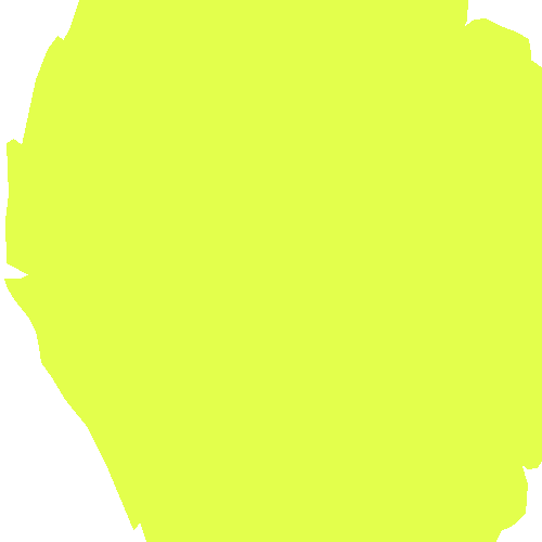 Sample annotation mask from Strawberry Disease Detection