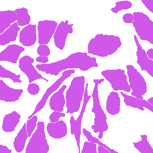 Sample annotation mask from Annotated Quantitative Phase Microscopy Cell