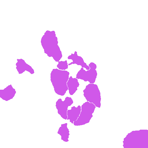 Sample annotation mask from Annotated Quantitative Phase Microscopy Cell