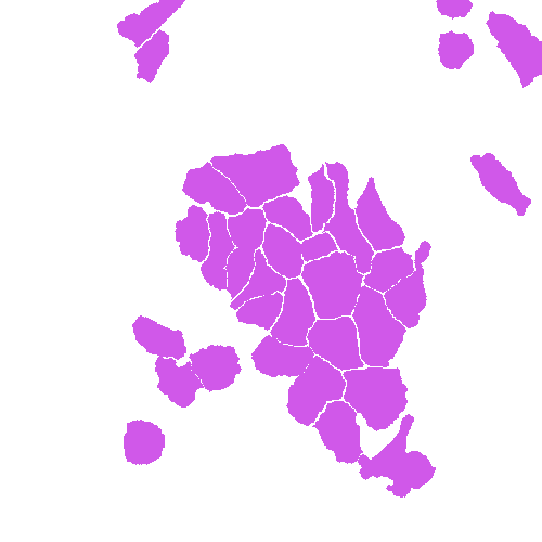 Sample annotation mask from Annotated Quantitative Phase Microscopy Cell