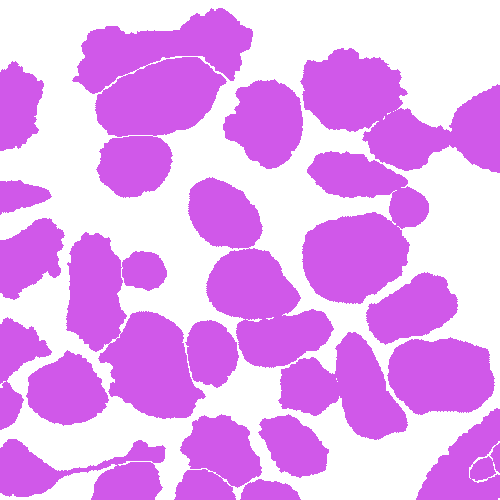 Sample annotation mask from Annotated Quantitative Phase Microscopy Cell