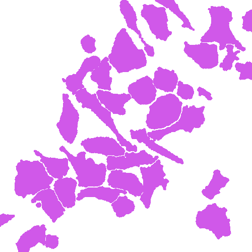 Sample annotation mask from Annotated Quantitative Phase Microscopy Cell