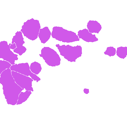 Sample annotation mask from Annotated Quantitative Phase Microscopy Cell