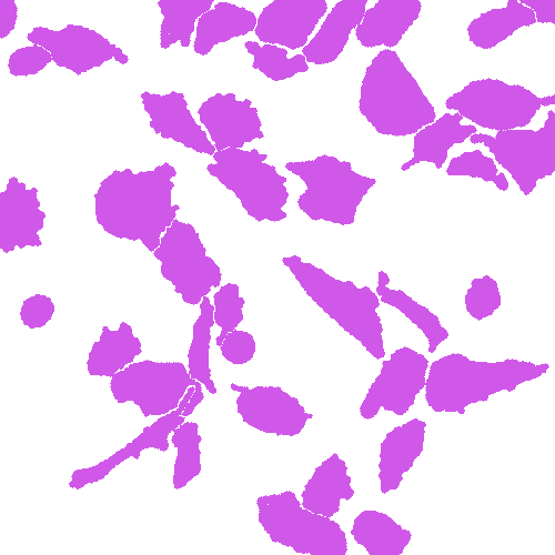 Sample annotation mask from Annotated Quantitative Phase Microscopy Cell