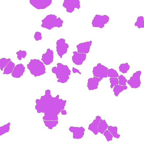 Sample annotation mask from Annotated Quantitative Phase Microscopy Cell