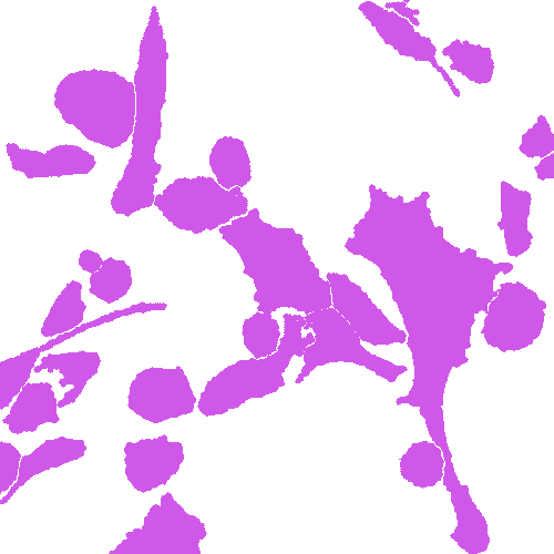 Sample annotation mask from Annotated Quantitative Phase Microscopy Cell