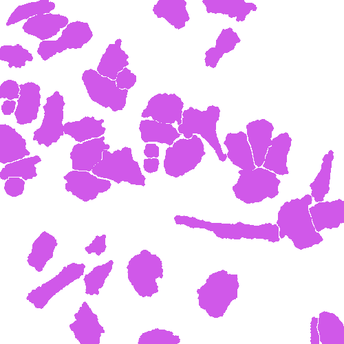 Sample annotation mask from Annotated Quantitative Phase Microscopy Cell