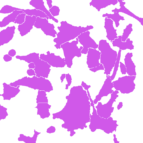 Sample annotation mask from Annotated Quantitative Phase Microscopy Cell