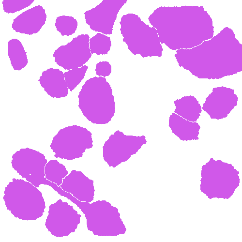 Sample annotation mask from Annotated Quantitative Phase Microscopy Cell