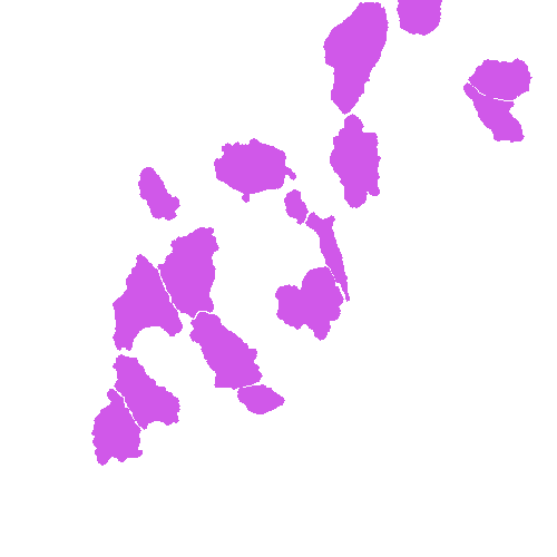 Sample annotation mask from Annotated Quantitative Phase Microscopy Cell