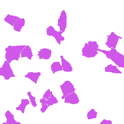 Sample annotation mask from Annotated Quantitative Phase Microscopy Cell