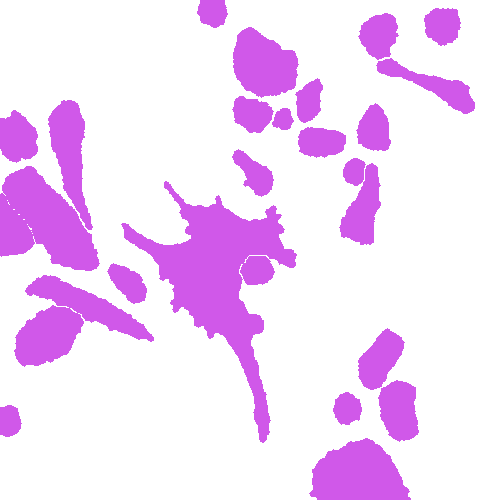 Sample annotation mask from Annotated Quantitative Phase Microscopy Cell