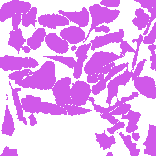 Sample annotation mask from Annotated Quantitative Phase Microscopy Cell