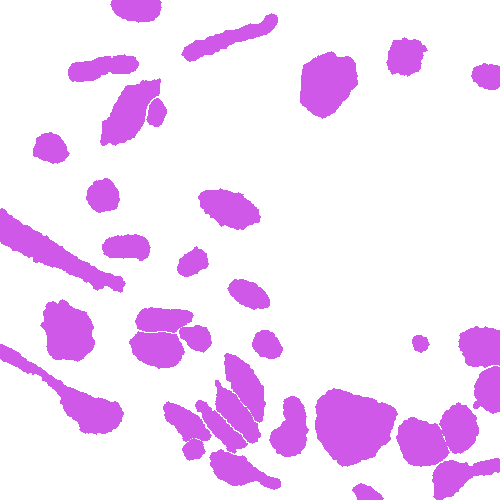 Sample annotation mask from Annotated Quantitative Phase Microscopy Cell