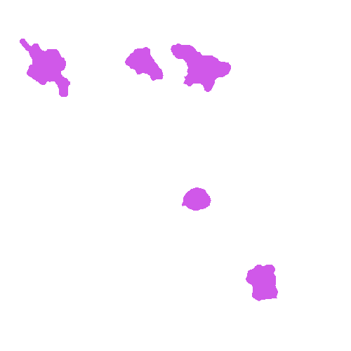 Sample annotation mask from Annotated Quantitative Phase Microscopy Cell