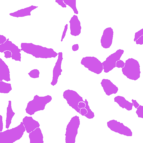 Sample annotation mask from Annotated Quantitative Phase Microscopy Cell