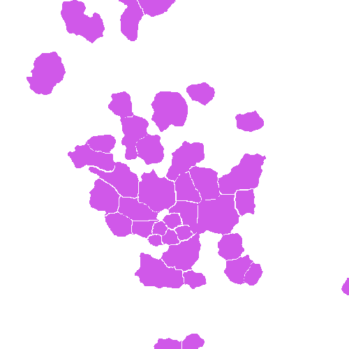 Sample annotation mask from Annotated Quantitative Phase Microscopy Cell