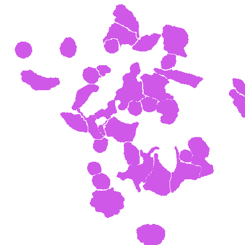 Sample annotation mask from Annotated Quantitative Phase Microscopy Cell