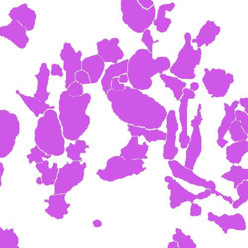 Sample annotation mask from Annotated Quantitative Phase Microscopy Cell