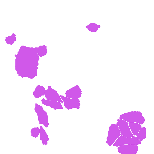 Sample annotation mask from Annotated Quantitative Phase Microscopy Cell