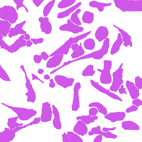 Sample annotation mask from Annotated Quantitative Phase Microscopy Cell