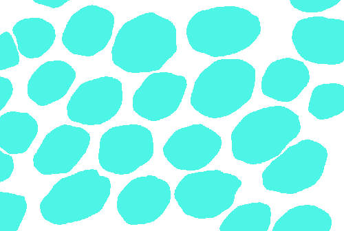 Sample annotation mask from GlaS@MICCAI'2015: Gland Segmentation