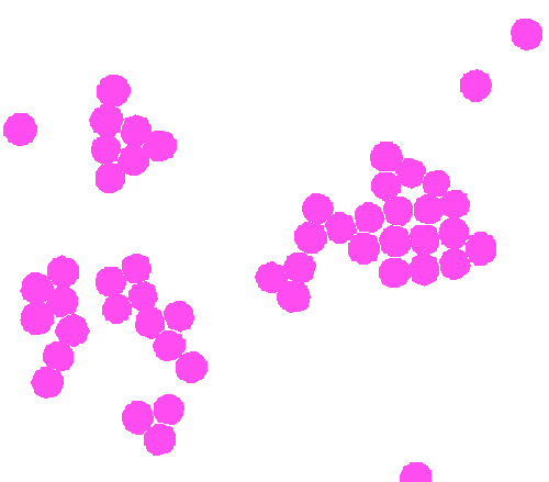 Sample annotation mask from EMPS