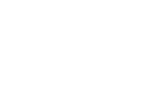 Sample annotation mask from OD-WeaponDetection: Pistol Classification