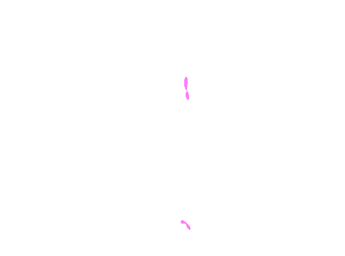 Sample annotation mask from Supervisely HRDA Plants Demo