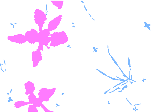 Sample annotation mask from Supervisely HRDA Plants Demo