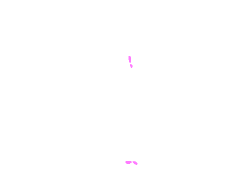 Sample annotation mask from Supervisely HRDA Plants Demo