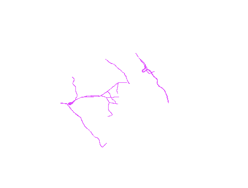 Sample annotation mask from Eyes Microcirculation