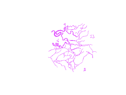 Sample annotation mask from Eyes Microcirculation