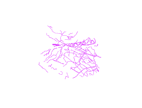 Sample annotation mask from Eyes Microcirculation