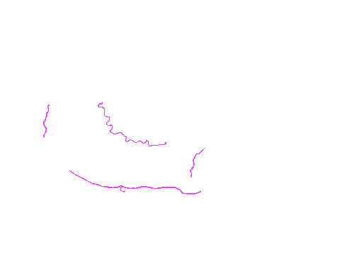 Sample annotation mask from Eyes Microcirculation