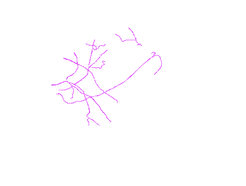 Sample annotation mask from Eyes Microcirculation