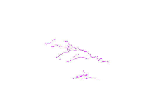 Sample annotation mask from Eyes Microcirculation